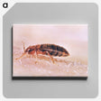 2-94_COVID-19_canvas