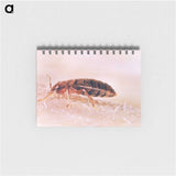 2-94_COVID-19_memo