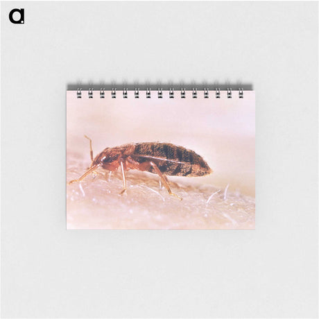 2-94_COVID-19_memo