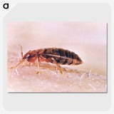 2-94_COVID-19_picture-crop
