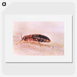 2-94_COVID-19_picture