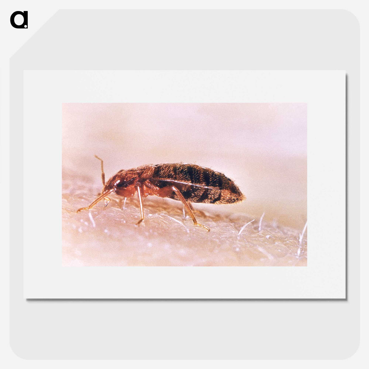 2-94_COVID-19_picture