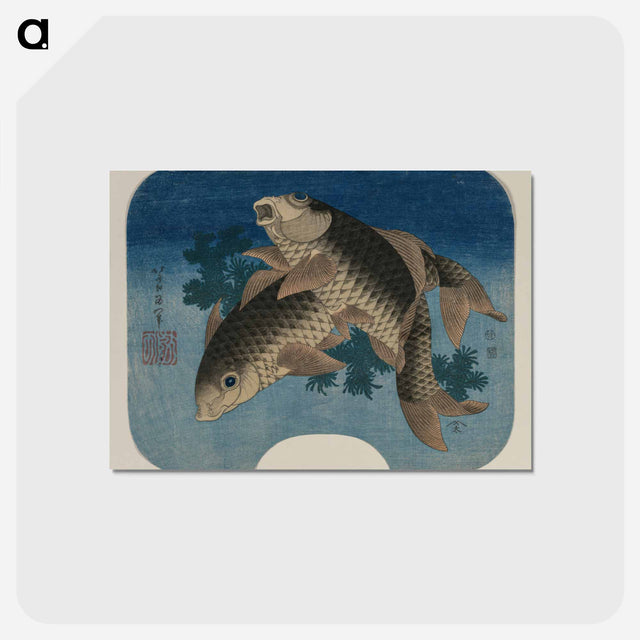 アートポストカード-Carp Swimming by Water Weeds
 - クリーブランド美術館 Postcard.