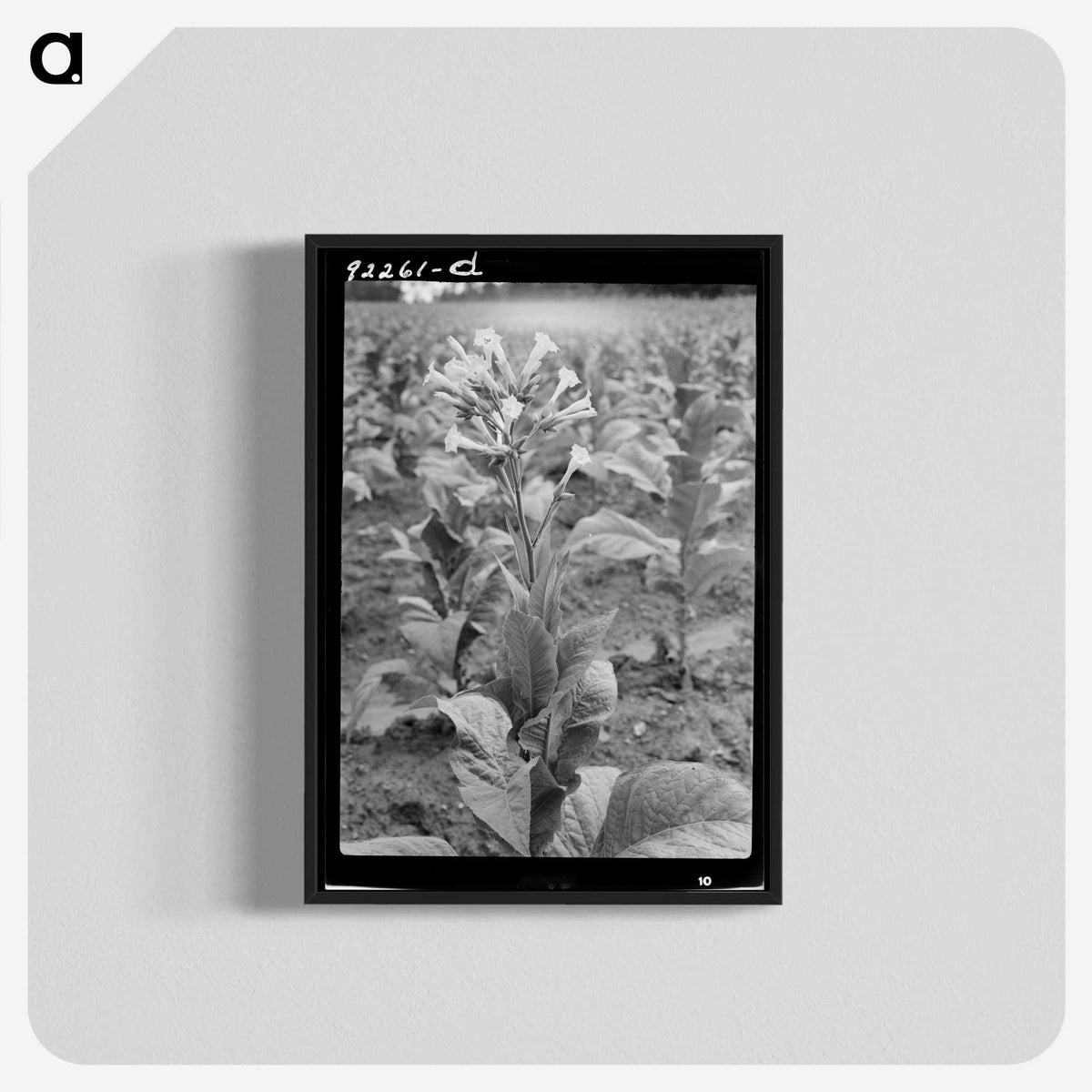 2-94_Dorothea-Lange_blk-crop