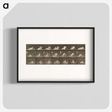 2-94_Eadweard-Muybridge_blk