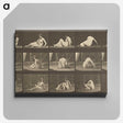 2-94_Eadweard-Muybridge_canvas