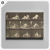 2-94_Eadweard-Muybridge_canvas