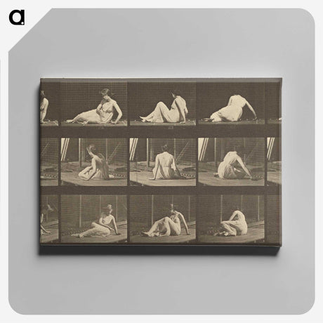 2-94_Eadweard-Muybridge_canvas