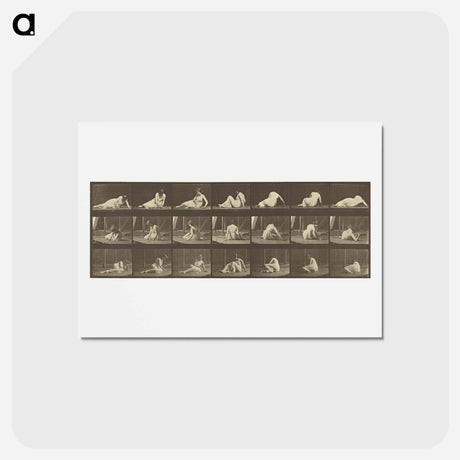 アートポストカード-Animal Locomotion
 - エドワード マイブリッジ Postcard.