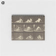 2-94_Eadweard-Muybridge_memo