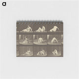 2-94_Eadweard-Muybridge_memo