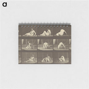 2-94_Eadweard-Muybridge_memo