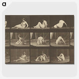 2-94_Eadweard-Muybridge_picture-crop