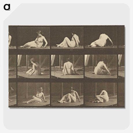 2-94_Eadweard-Muybridge_picture-crop