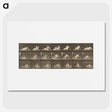 2-94_Eadweard-Muybridge_picture