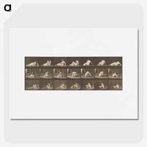 2-94_Eadweard-Muybridge_picture