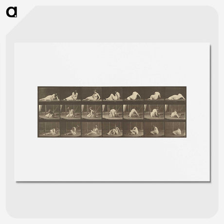 2-94_Eadweard-Muybridge_picture