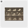 2-94_Eadweard-Muybridge_postcard