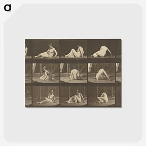 2-94_Eadweard-Muybridge_postcard