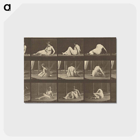 アートポストカード-Animal Locomotion
 - エドワード マイブリッジ Postcard.