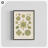 2-94_Ernst-Haeckel_blk-crop
