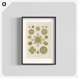 2-94_Ernst-Haeckel_blk