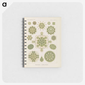 2-94_Ernst-Haeckel_memo