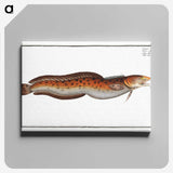2-94_Ichtyologie-ou-Histoire-naturelle_canvas