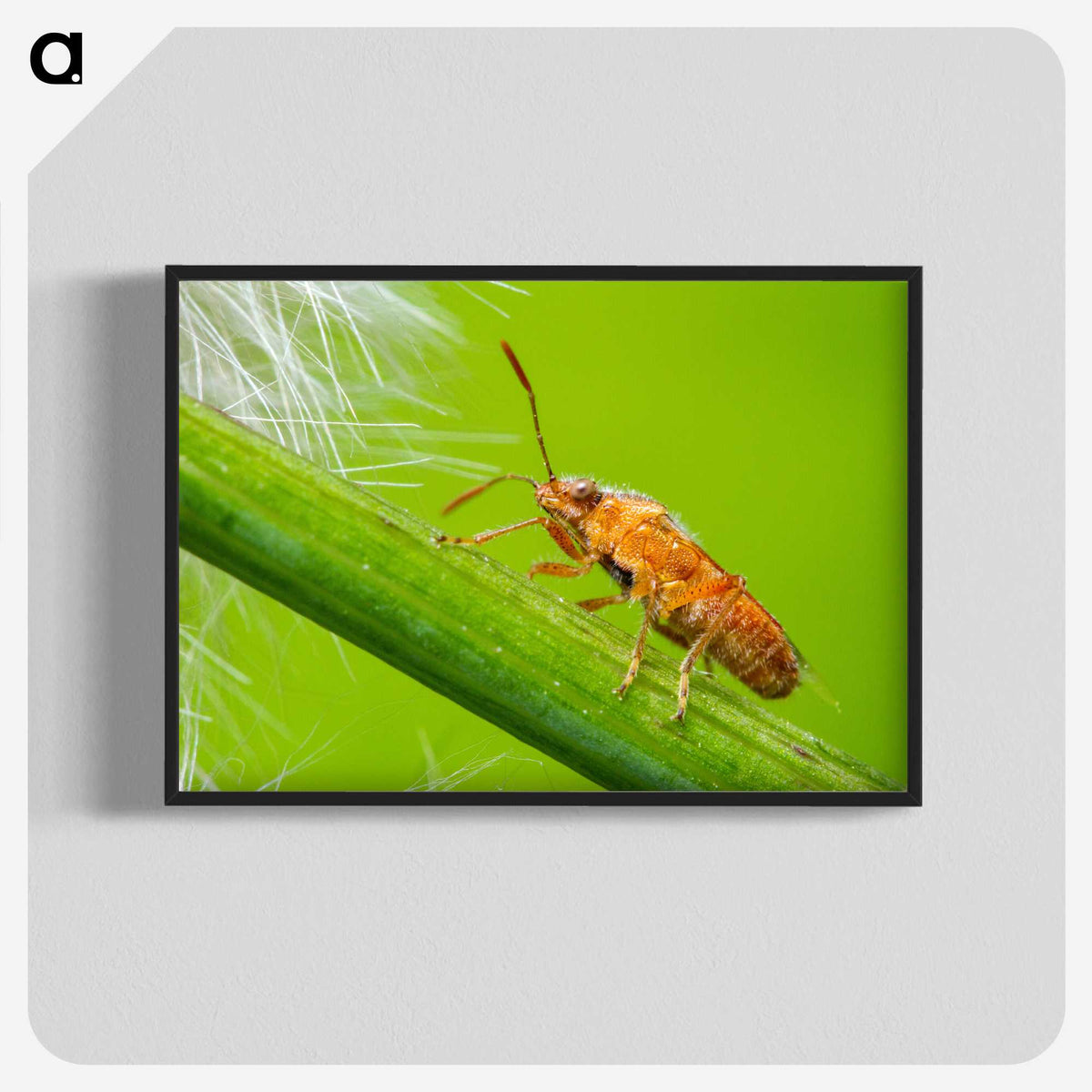 2-94_Insects-Unlocked-Project_blk-crop
