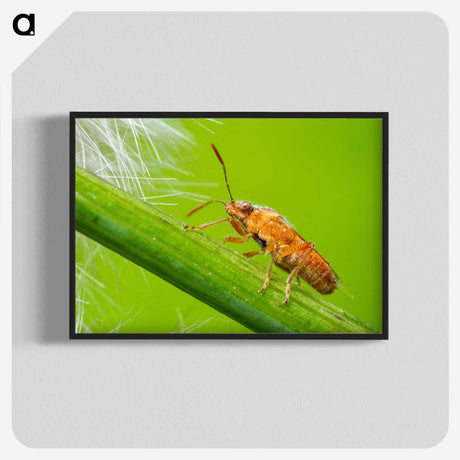 2-94_Insects-Unlocked-Project_blk-crop