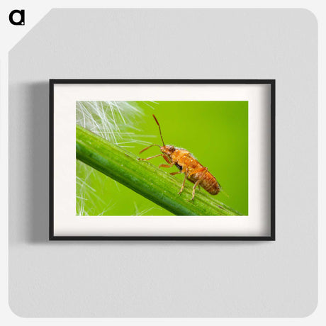 2-94_Insects-Unlocked-Project_blk