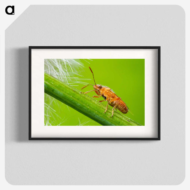 2-94_Insects-Unlocked-Project_blk