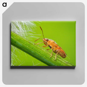 2-94_Insects-Unlocked-Project_canvas