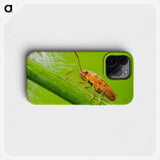 2-94_Insects-Unlocked-Project_phone