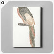 2-94_Johan-Teyler_canvas
