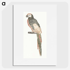 2-94_Johan-Teyler_picture