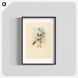 2-94_John-Gould_blk