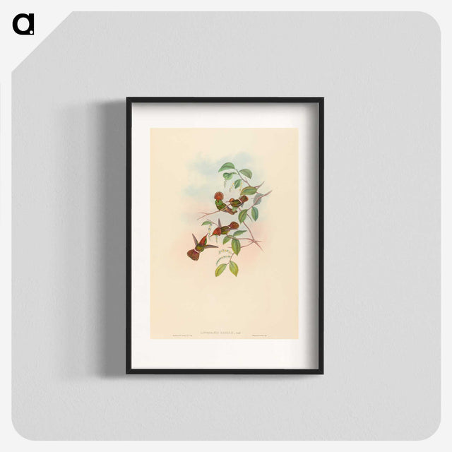 2-94_John-Gould_blk