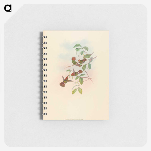 2-94_John-Gould_memo