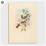 2-94_John-Gould_picture-crop