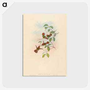 2-94_John-Gould_postcard