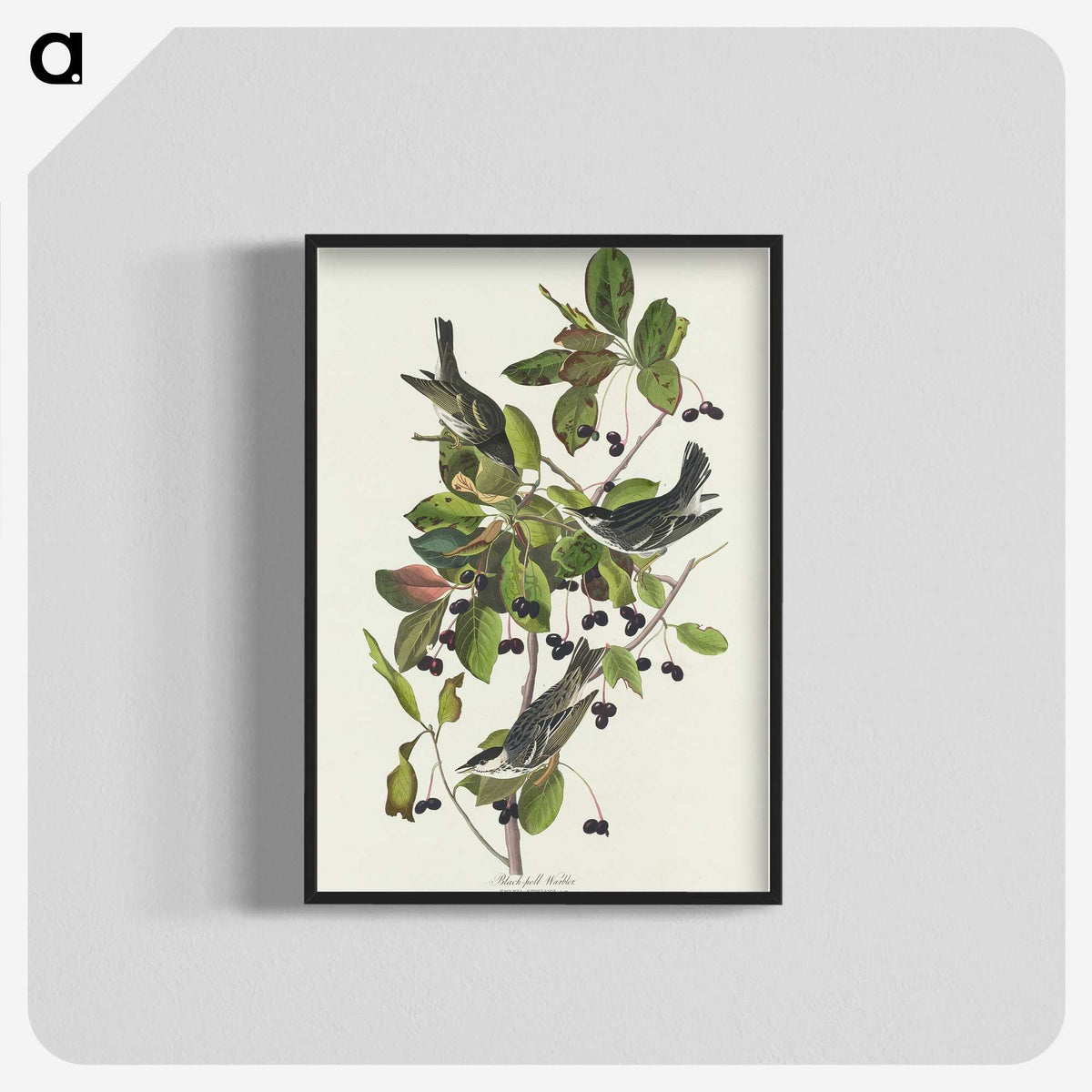2-94_John-James-Audubon_blk-crop