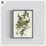 2-94_John-James-Audubon_blk-crop