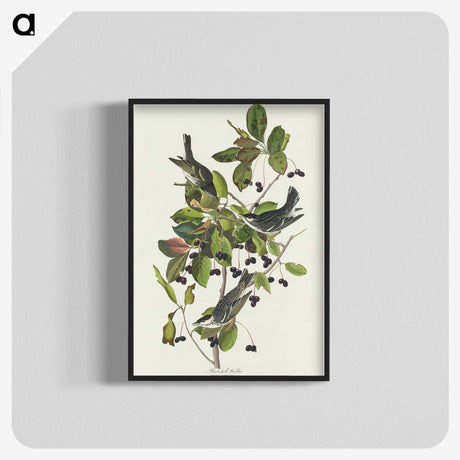 2-94_John-James-Audubon_blk-crop