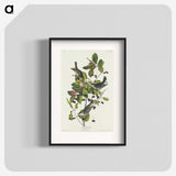 2-94_John-James-Audubon_blk