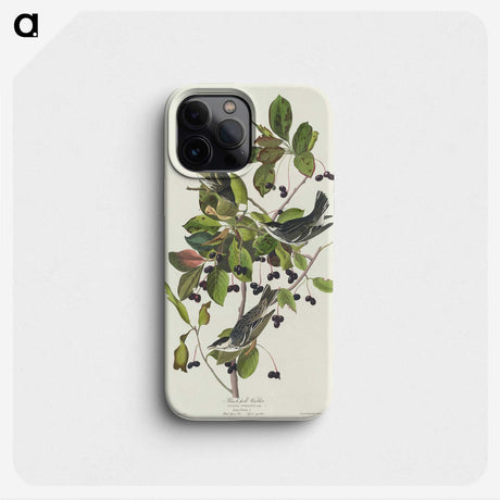 2-94_John-James-Audubon_phone