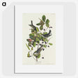2-94_John-James-Audubon_picture