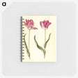 2-94_Maria-Sibylla-Merian_memo