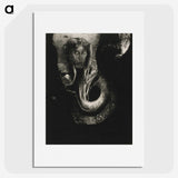 2-94_Odilon-Redon_picture