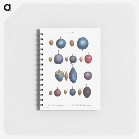 2-94_Pierre-Joseph-Redoute_memo
